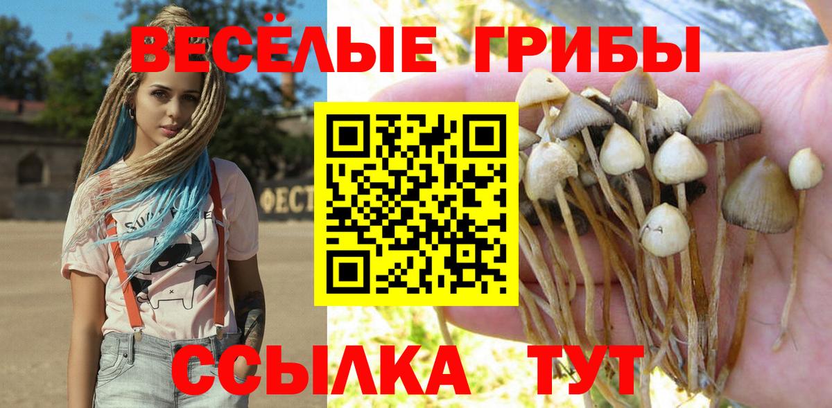 Псилоцибиновые грибы мицелий Жигулёвск